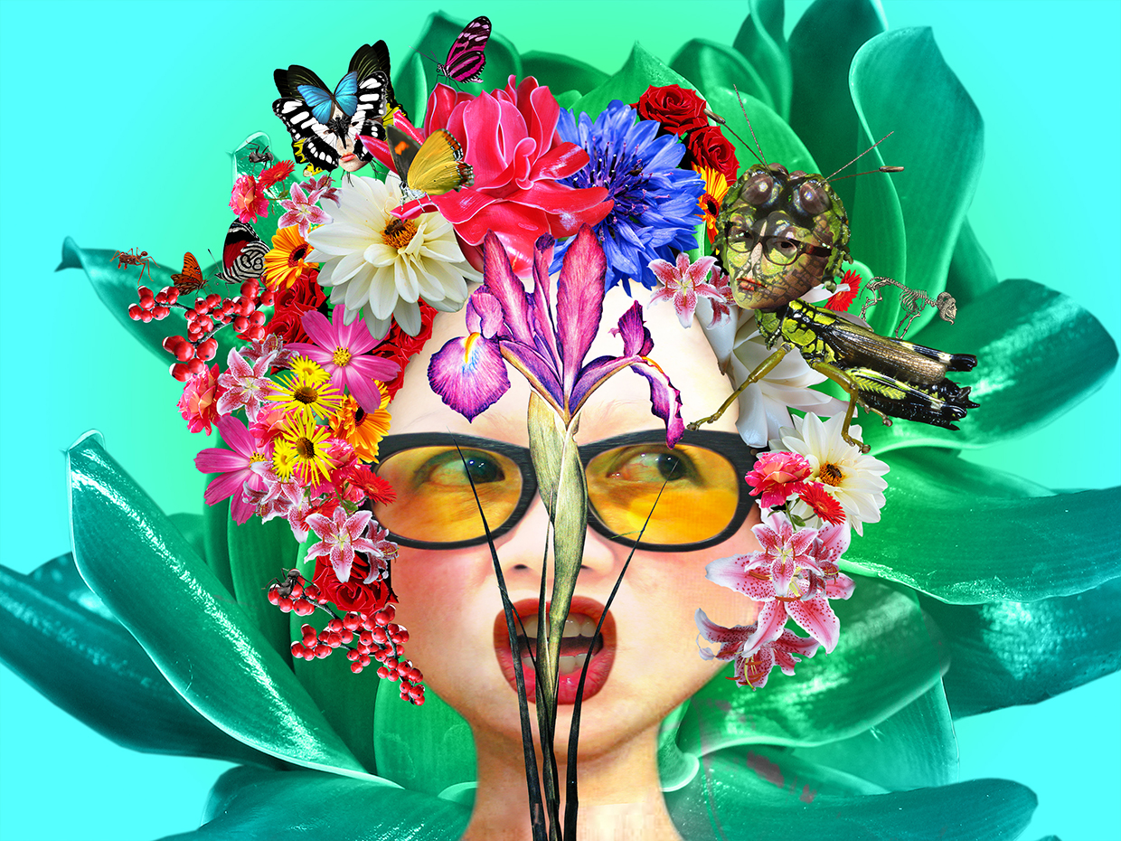 Prinda's Garden 1