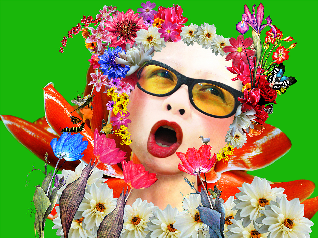 Prinda's Garden 2