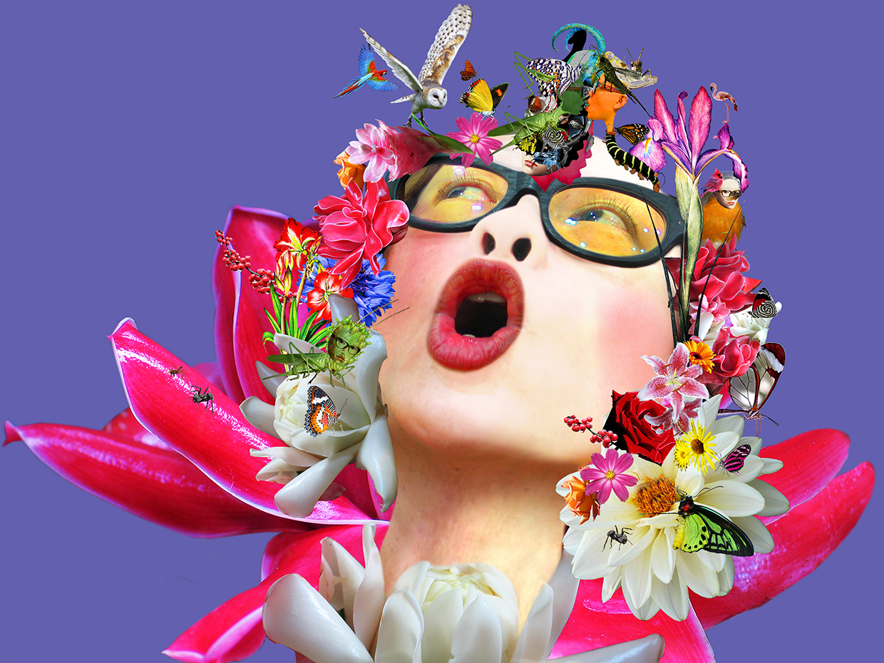 Prinda's Garden 5